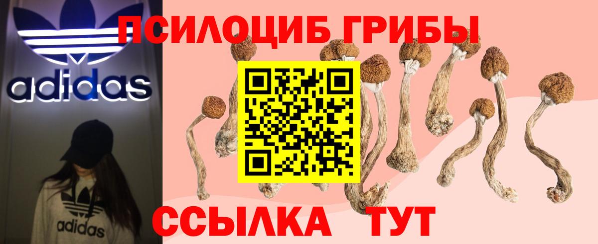 Псилоцибиновые грибы прущие грибы  Вход с VPN  Ленинск-Кузнецкий 